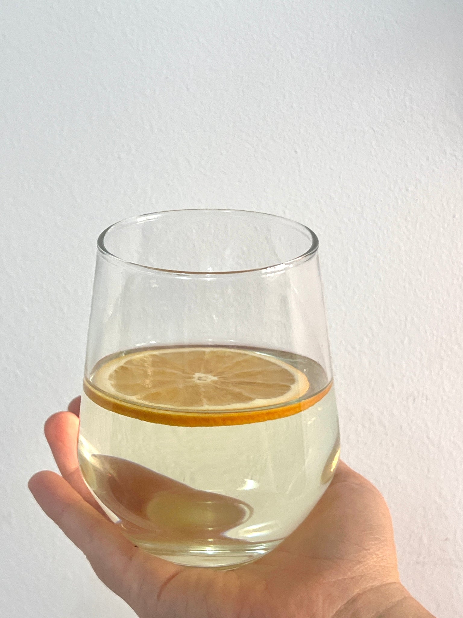 INFUSION CON NARANJA DESHIDRATADA 🍊