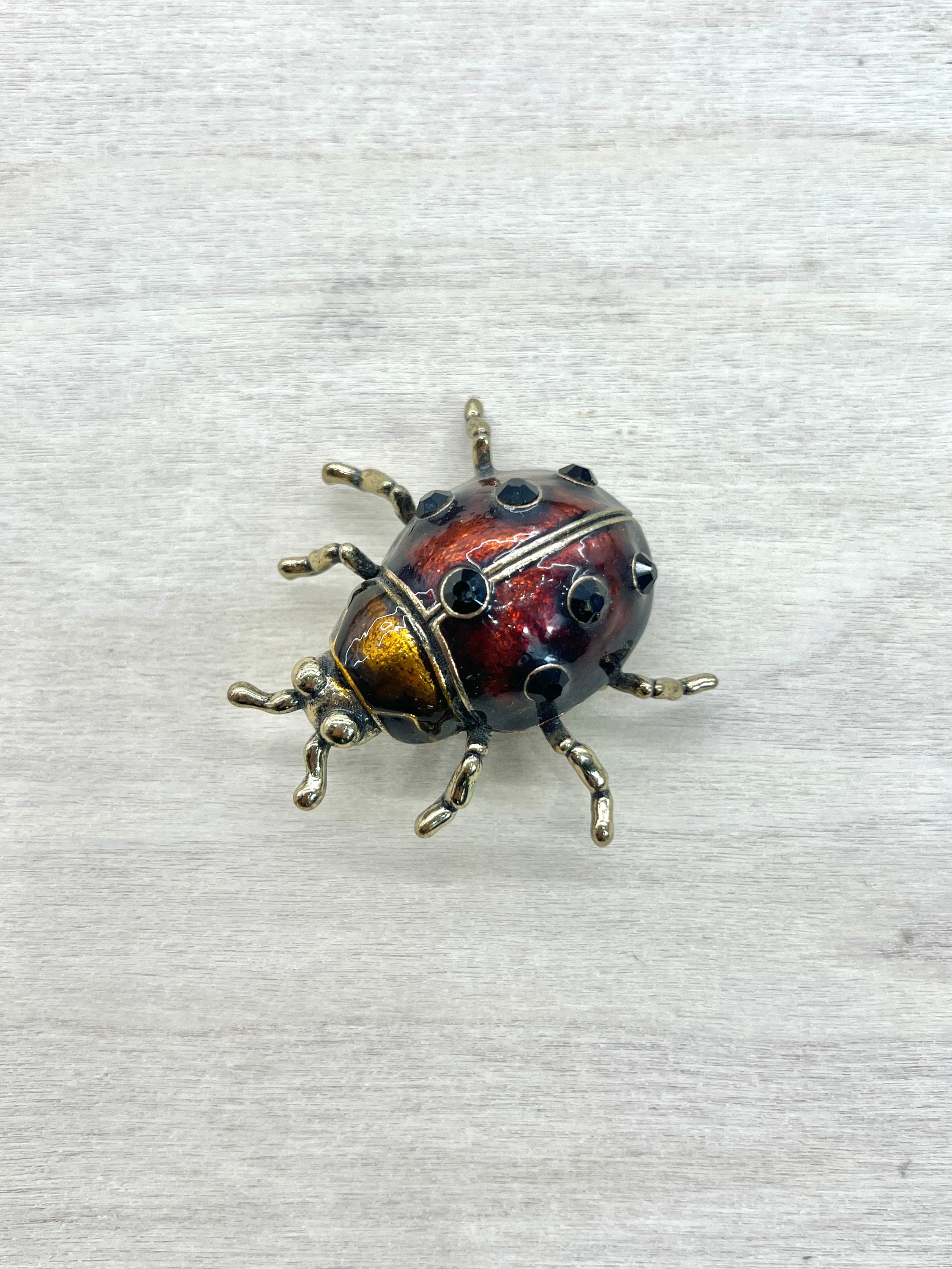 Broche Insecto